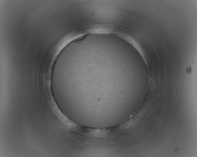 X0000092321195200709281400