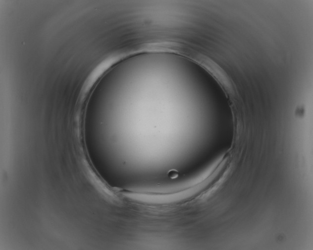 X0000092321196200709281400