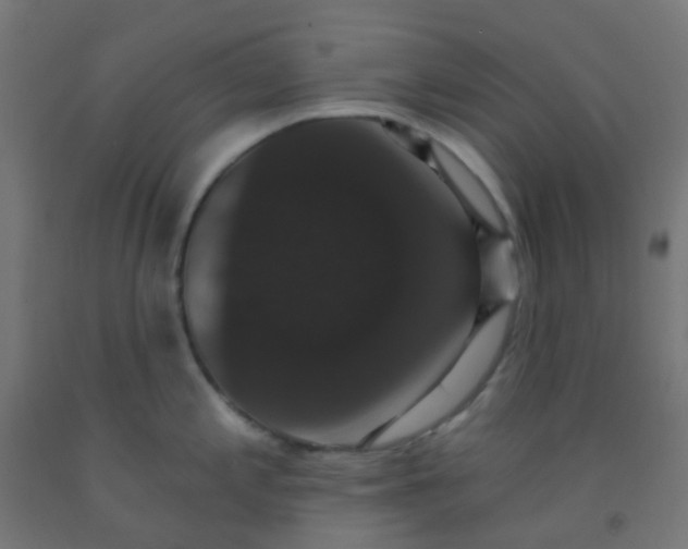 X0000092321197200709281400