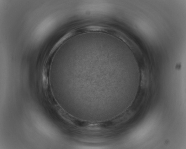 X0000092321198200709281400