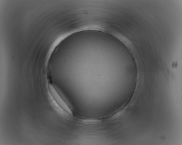 X0000092321200200709281400
