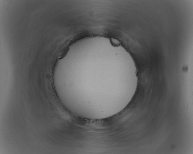 X0000092321201200709281359