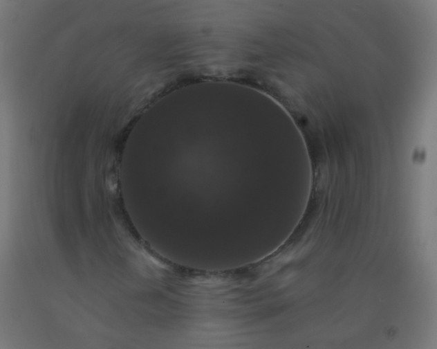 X0000092321202200709281359