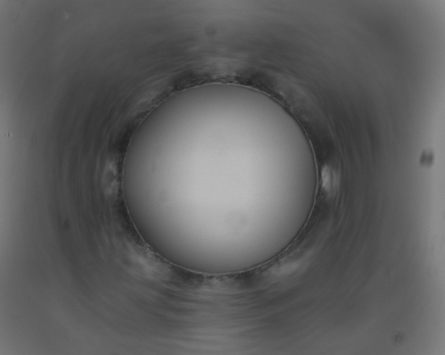 X0000092321203200709281359
