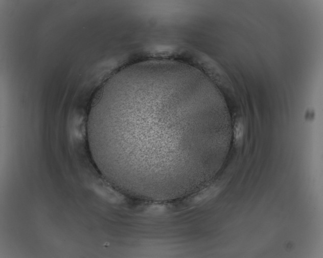 X0000092321204200709281359