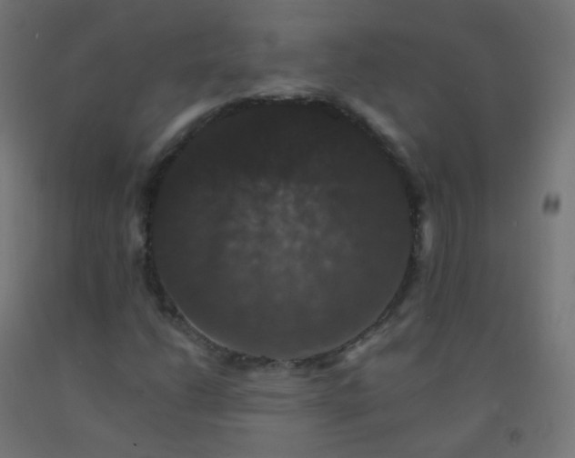 X0000092321206200709281359