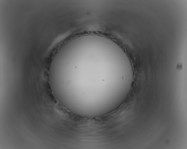 X0000092321207200709281359