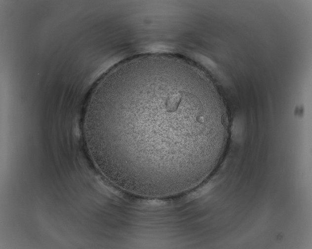 X0000092321209200709281359
