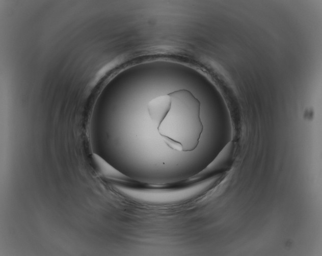 X0000092321210200709281359
