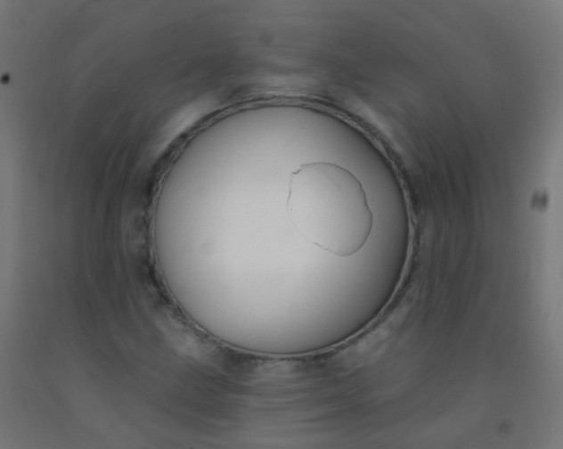 X0000092321211200709281359