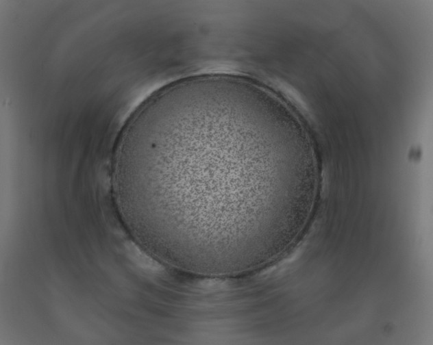 X0000092321212200709281359