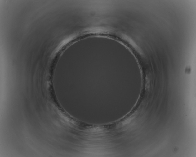 X0000092321213200709281359