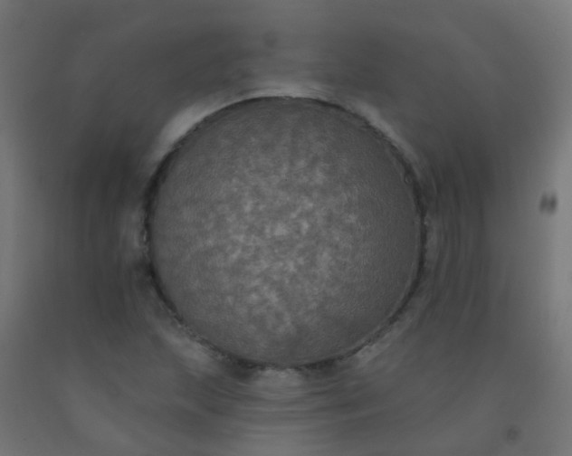 X0000092321215200709281359
