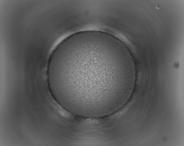 X0000092321216200709281400