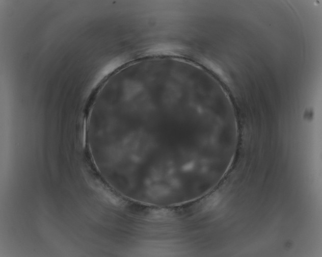 X0000092321219200709281400