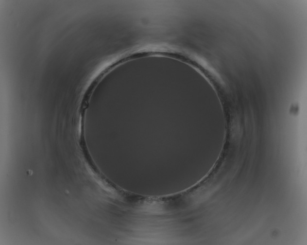 X0000092321221200709281400