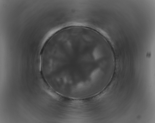 X0000092321223200709281400