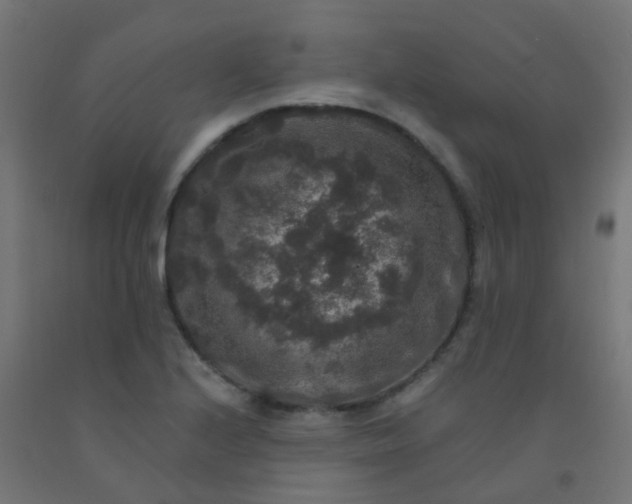 X0000092321224200709281400