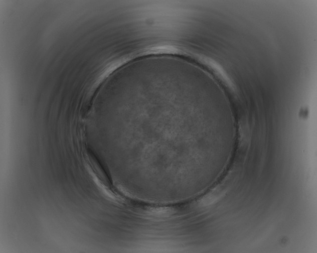 X0000092321225200709281400