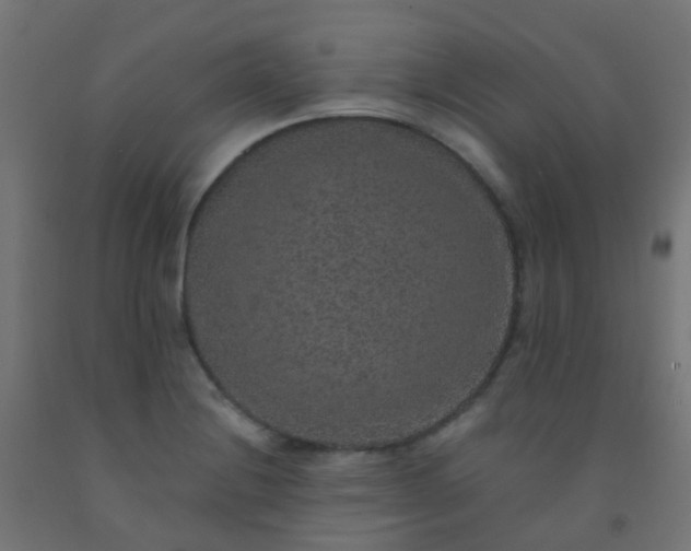 X0000092321228200709281400