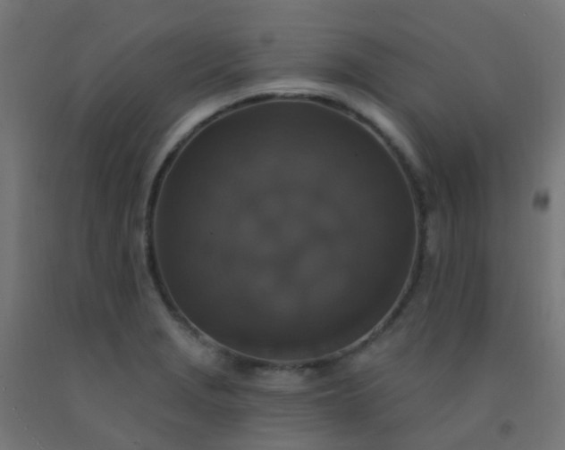 X0000092321229200709281400