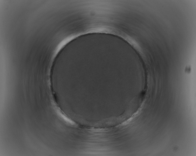 X0000092321230200709281400