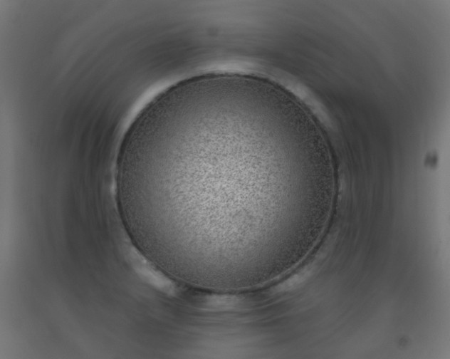 X0000092321232200709281400