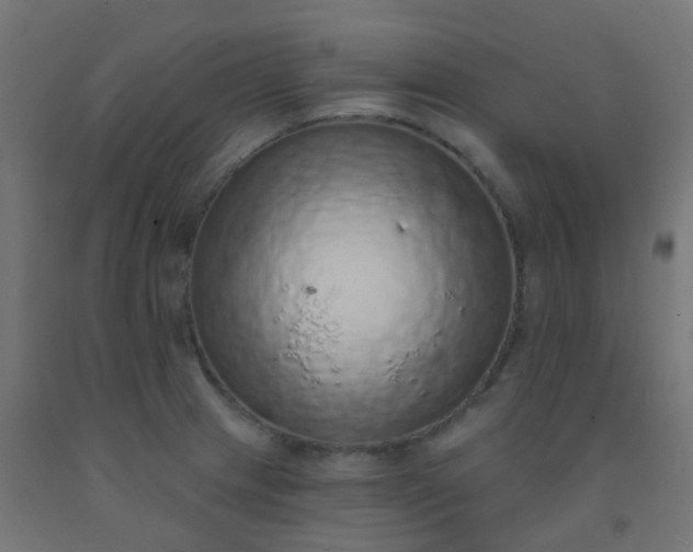 X0000092321233200709281400