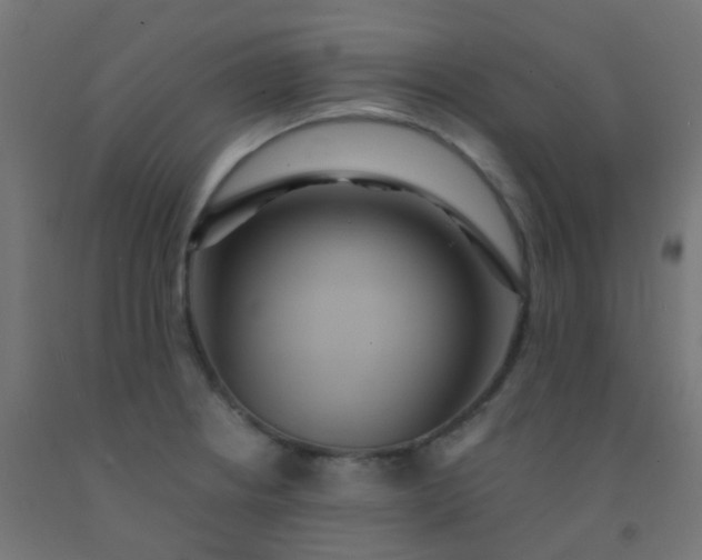 X0000092321234200709281400