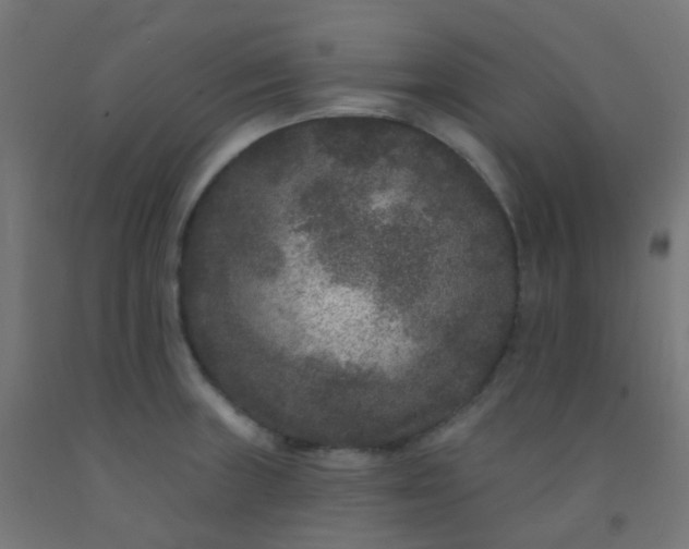 X0000092321235200709281400