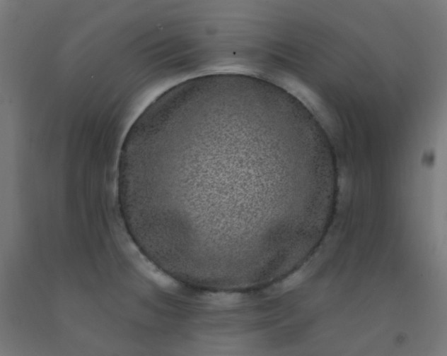 X0000092321236200709281400