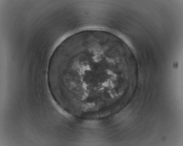X0000092321237200709281400