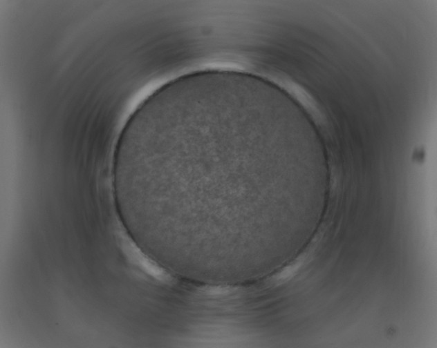 X0000092321240200709281400