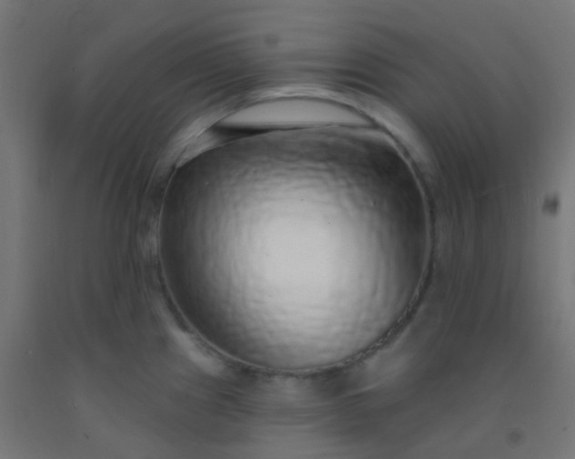 X0000092321241200709281400
