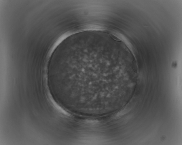 X0000092321243200709281400