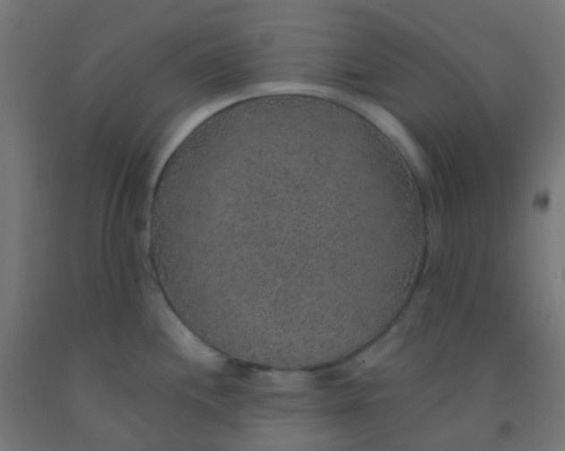X0000092321244200709281400