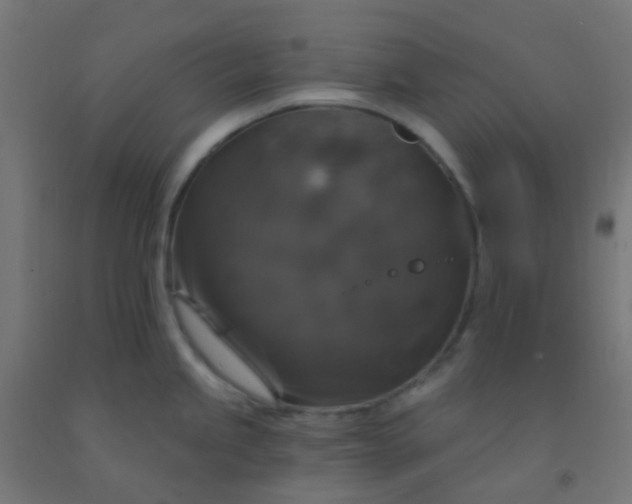 X0000092321245200709281400
