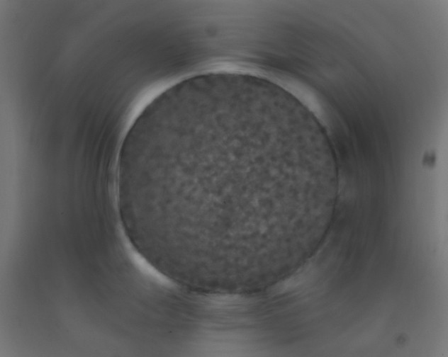 X0000092321247200709281400
