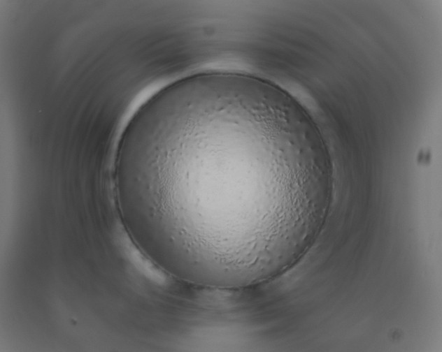 X0000092321248200709281400