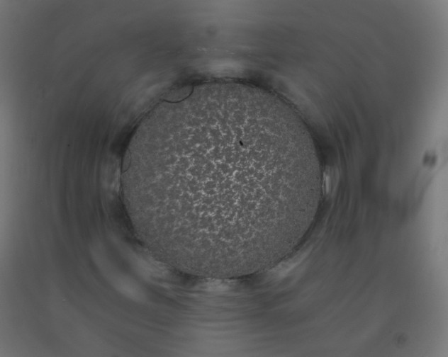 X0000092321251200709281359