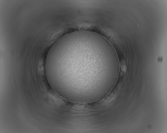 X0000092321252200709281359