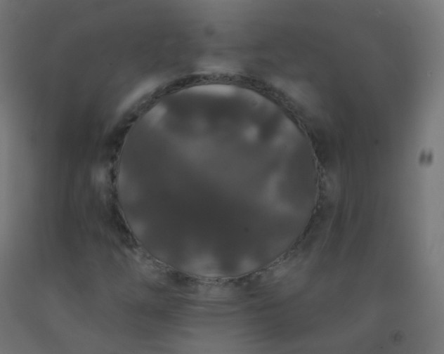 X0000092321254200709281359