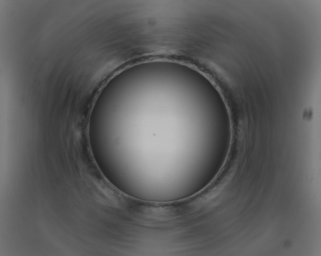 X0000092321257200709281359