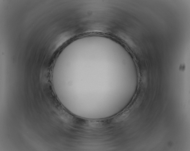 X0000092321258200709281359