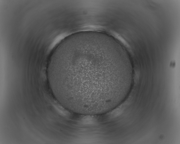 X0000092321259200709281359