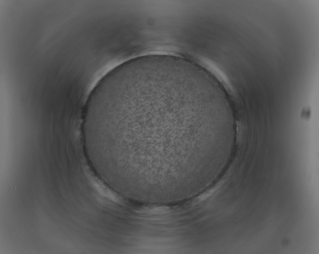 X0000092321260200709281359