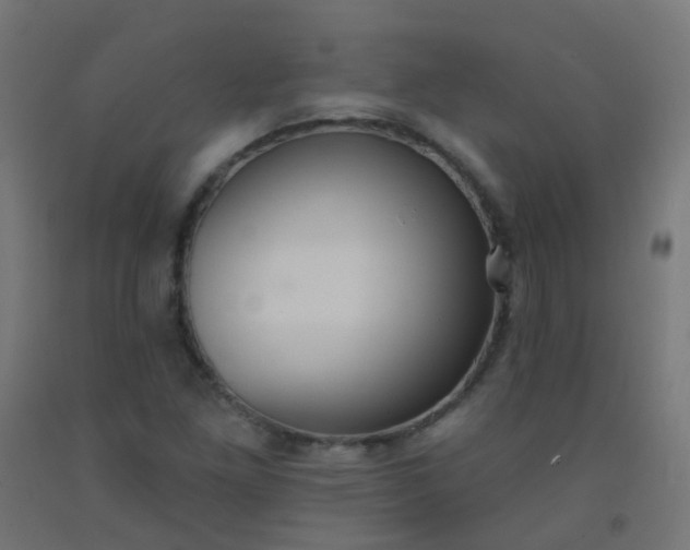 X0000092321261200709281359