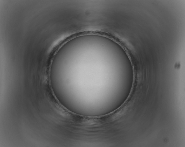 X0000092321262200709281359