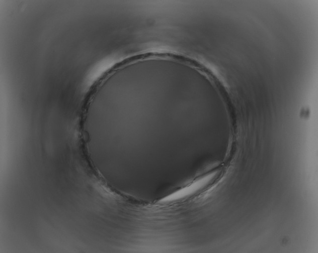 X0000092321263200709281359