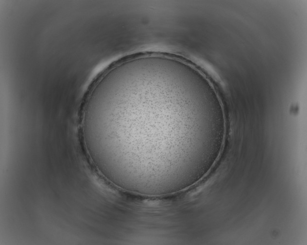 X0000092321264200709281359